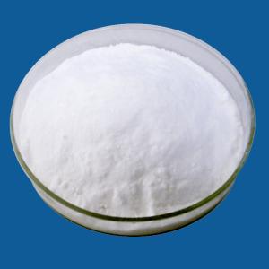 ε-Polylysine Hydrochloride,Food Preservation